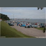 viigdynia006.jpg